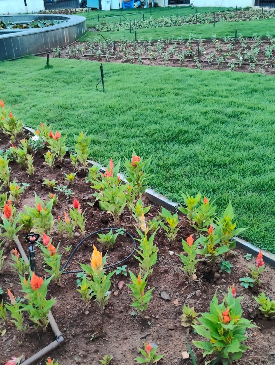 Vaibhav Nursery garden project photograph