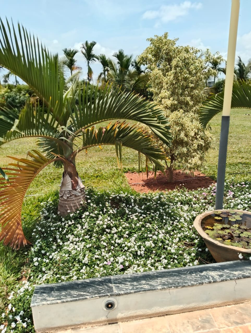 Garden development project photograph