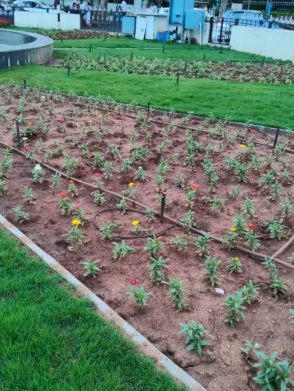 Landscaping work photograph