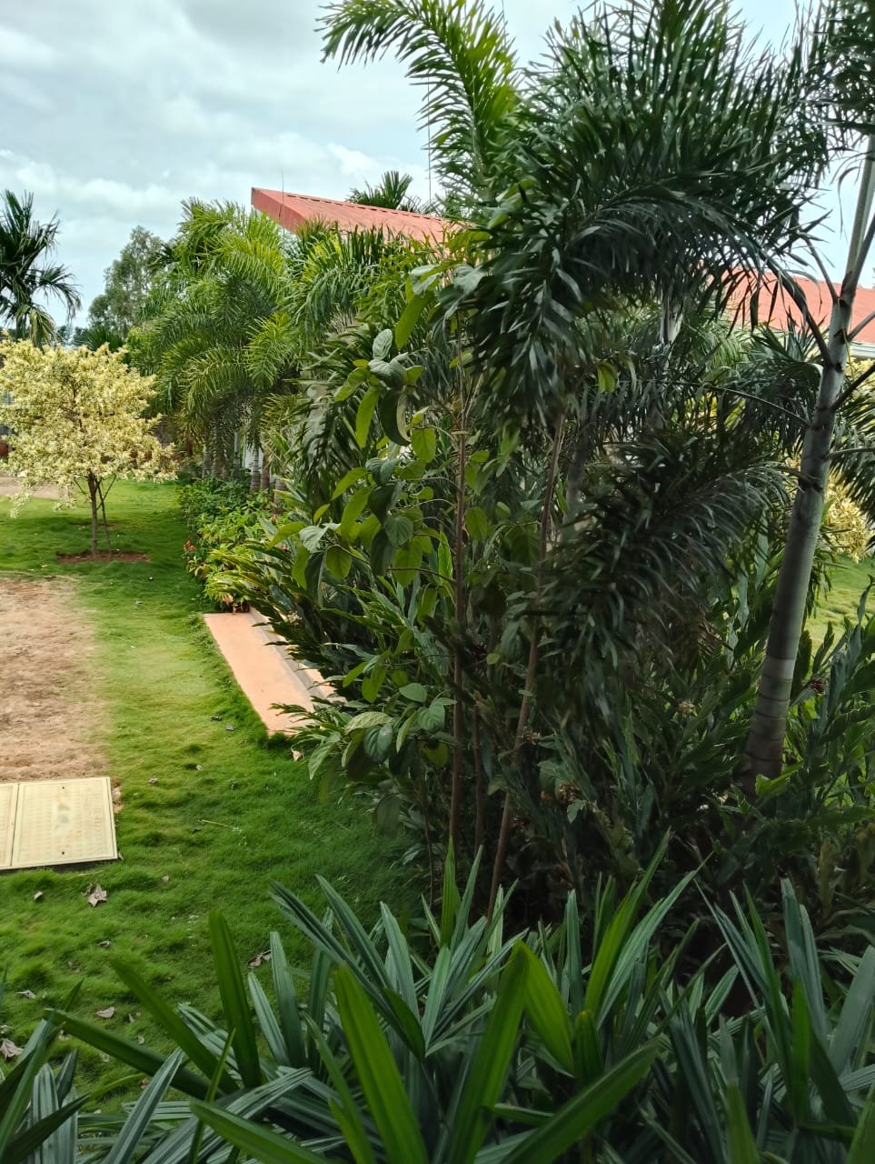 Outdoor garden project photograph